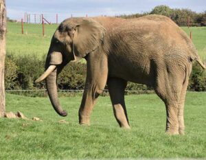 Wideo dotyczące czegoś tam